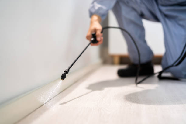Certified termite inspector examining foundation in Davenport